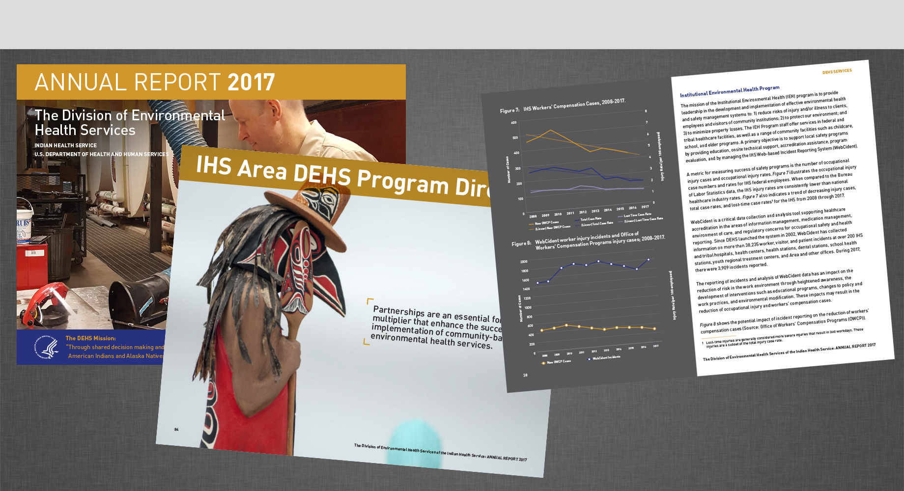 DEHS-IHS Annual Report